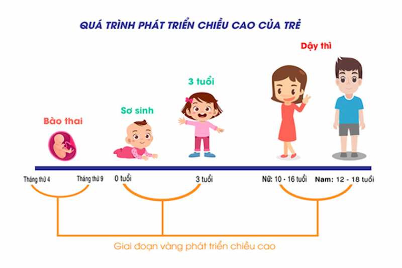 Các giai đoạn phát triển của trẻ 0 6 tuổi ba mẹ cần lưu tâm