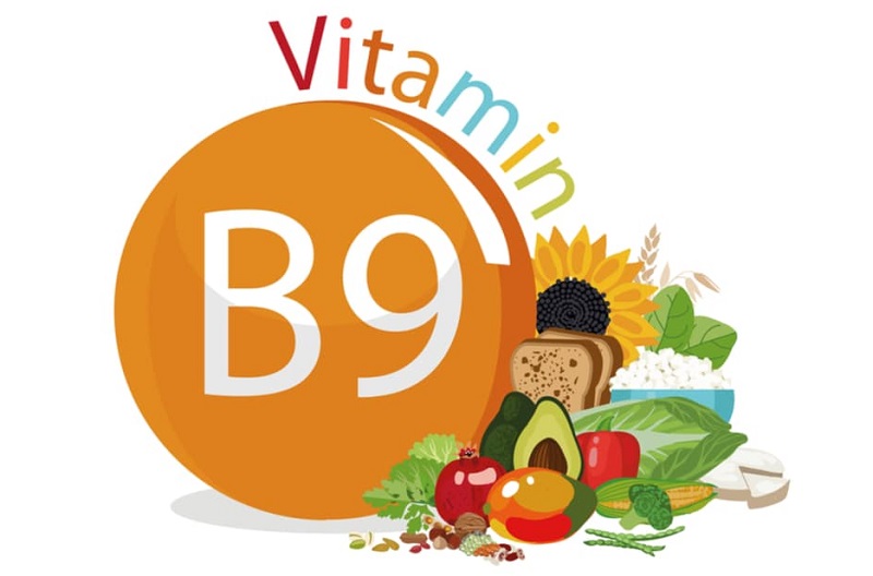 Triệu chứng khi thiếu hụt Vitamin B9. (Ảnh: Sưu tầm Internet)
