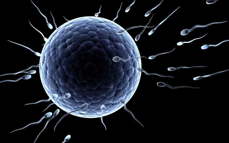 6 dấu hiệu có thai sau 6 ngày rụng trứng chính xác nhất