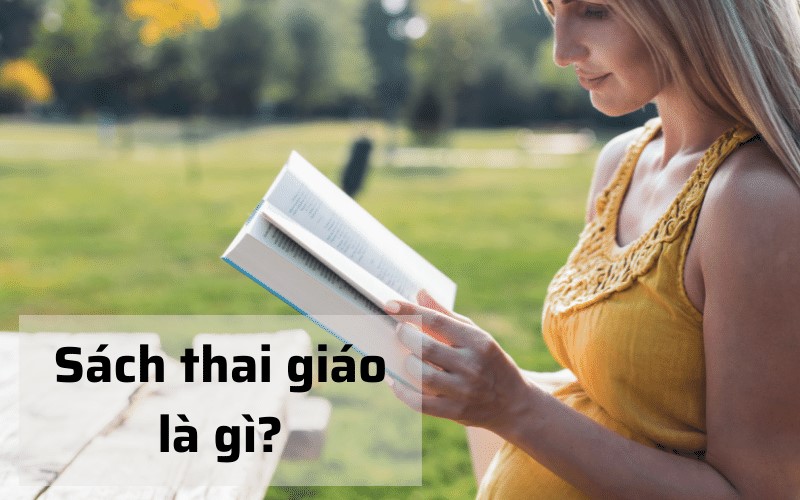 Sách dạy tiếng Thái là gì?  (Ảnh: Sưu tầm Internet)