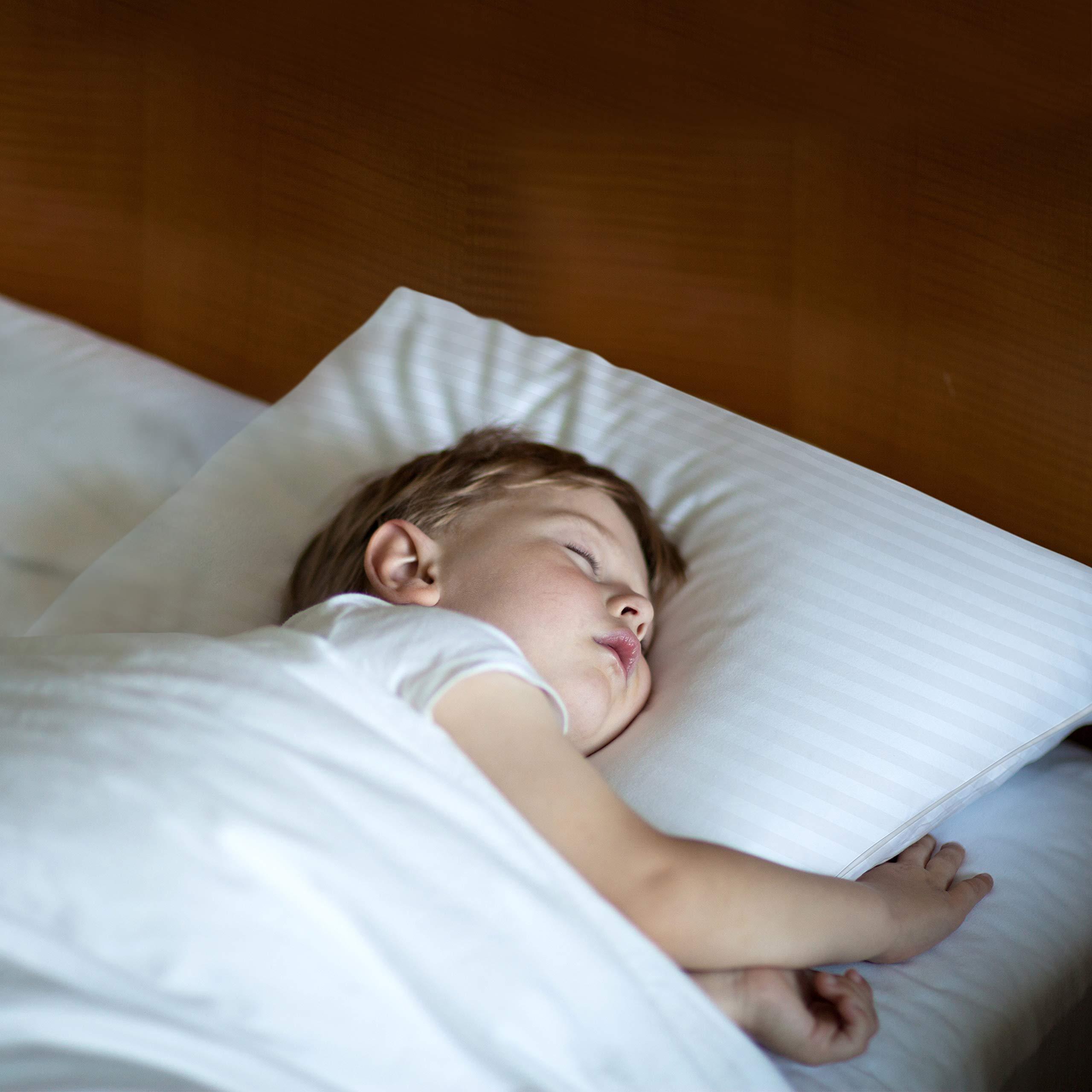 Trẻ 2 tuổi ngủ bao nhiêu tiếng một ngày?  (Ảnh: Sưu tầm Internet)