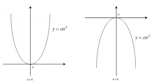 Minh họa cho đồ thị hàm số bậc hai dạng y = ax^2. (Ảnh: Loga.vn)