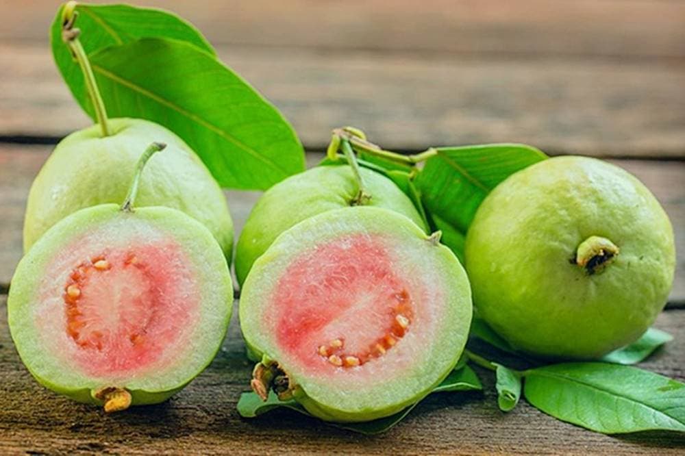 Tìm hiểu hàm lượng vitamin C trong ổi.  (Ảnh: Sưu tầm Internet)