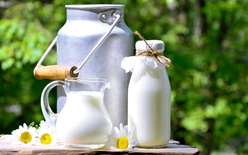 Thai phụ nên uống sữa để giúp trẻ có hệ xương khỏe mạnh. (Ảnh: Sưu tầm Internet)