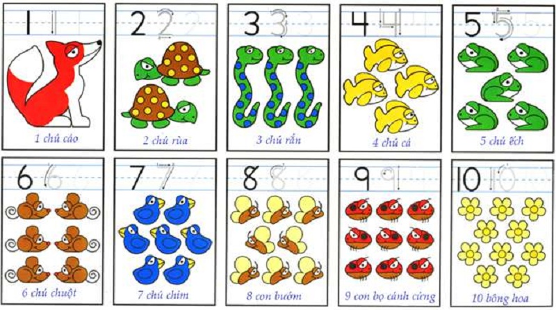 Bài tập toán tư duy 3-4 tuổi. (Ảnh: Toploigiai.vn)