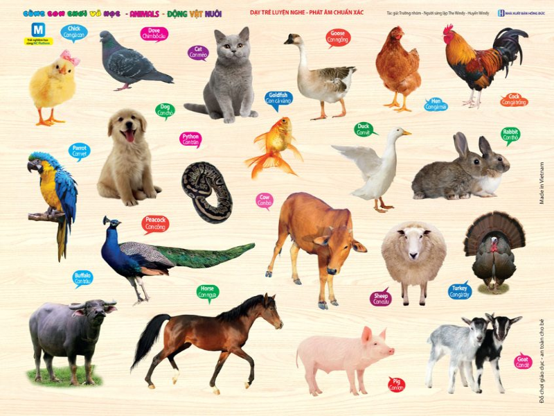 Bức tranh với rất nhiều các con vật cho bé yêu khám phá. (Ảnh: newshop.vn)