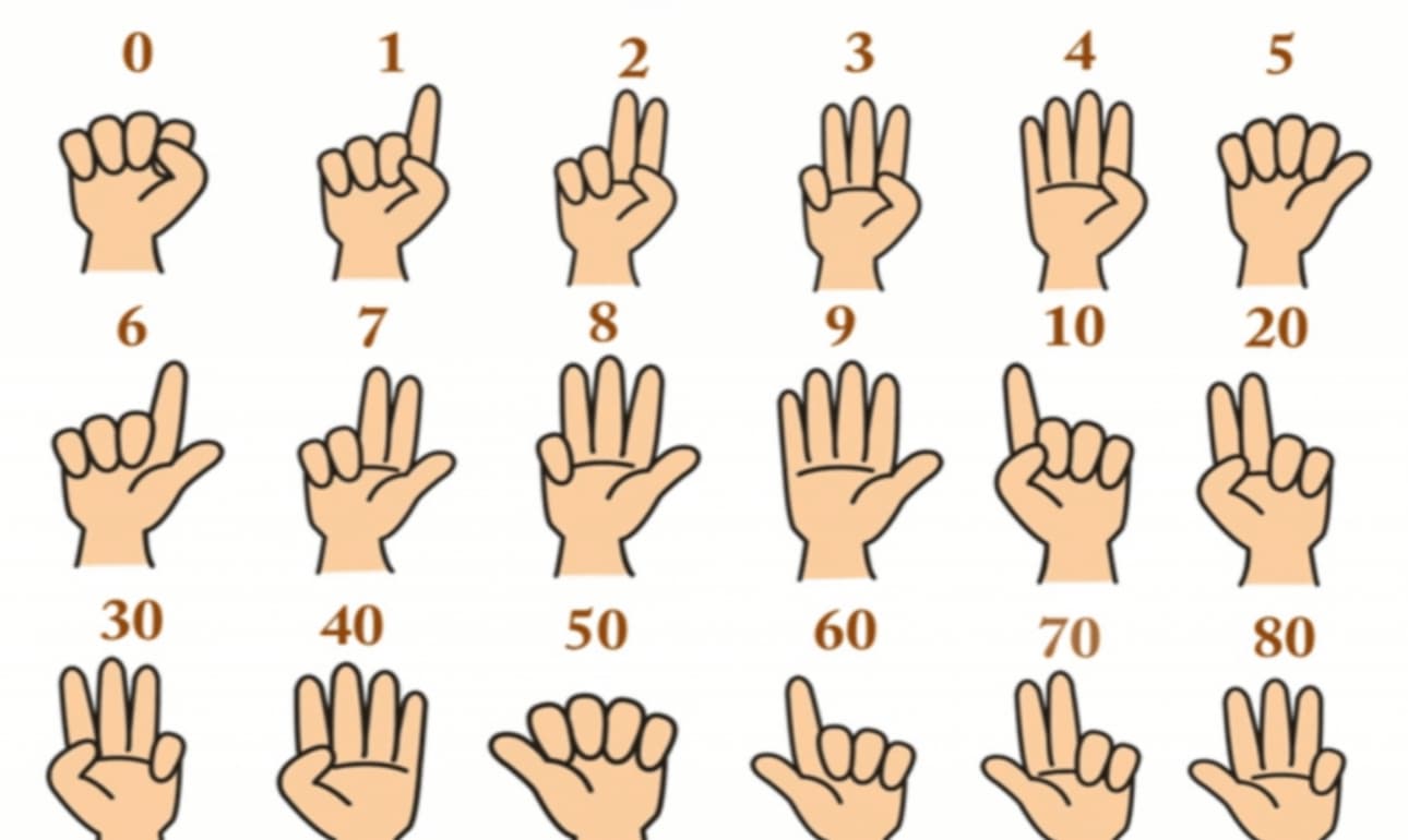 Finger Math cùng  cha mẹ dạy con trẻ với phương pháp đơn giản. (Ảnh: Sưu tầm Internet)