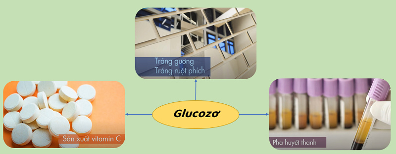 Một vài ứng dụng của glucozơ trong đời sống và sản xuất. (Ảnh: Sưu tầm Internet)