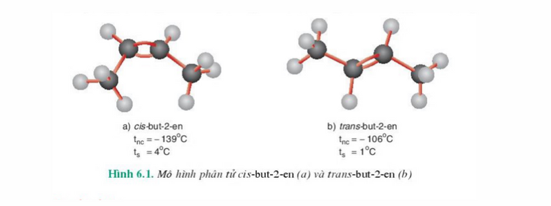 Mô hình phân tử cis-but-2-en (a) và trans-but-2-en (b). (Ảnh: Chụp screen SGK Hóa học tập 11)