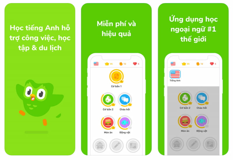 Ứng dụng học ngữ pháp tiếng Anh Duolingo. (Ảnh: Internet)