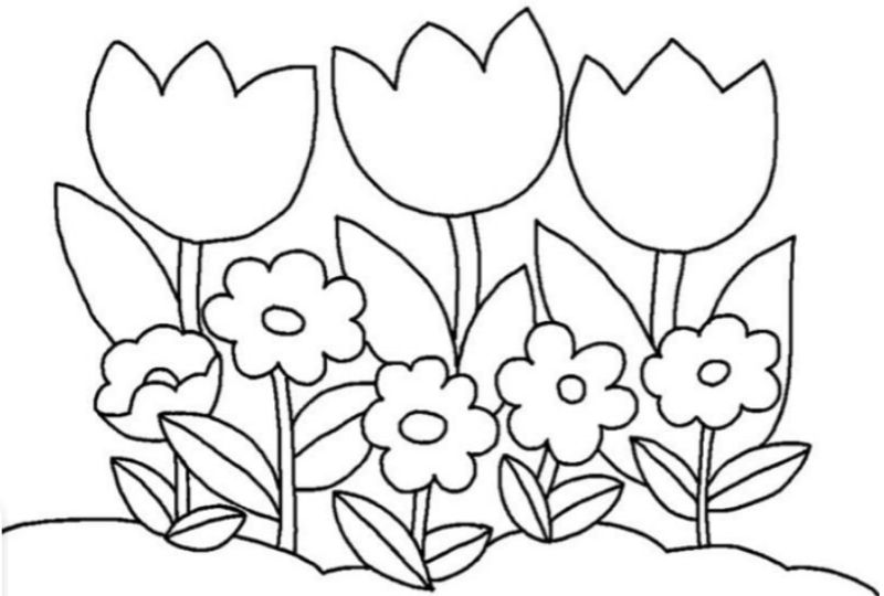 Coloring pictures of simple flowers for kids.  (Photo: Internet Collection)