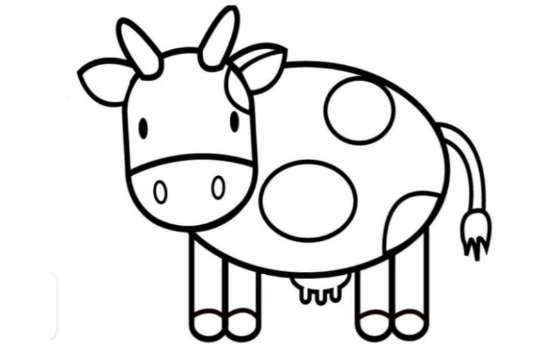 Let your child practice coloring a milk cow.  (Photo: Internet Collection)