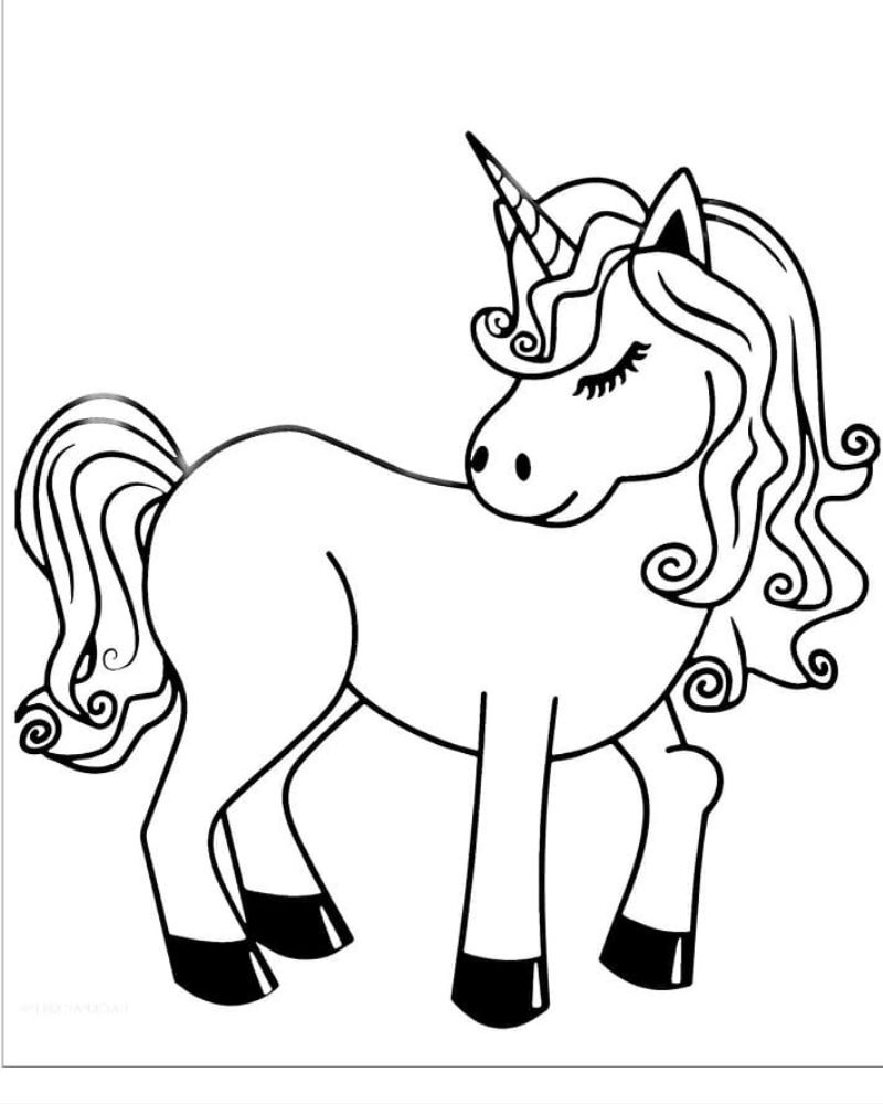 Pony pony for kids to color.  (Photo: Internet Collection)