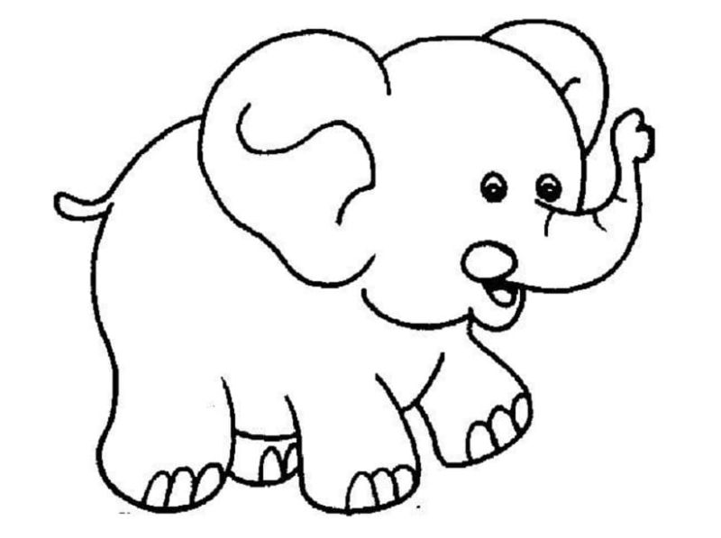 Children learn to color elephants.  (Photo: Internet Collection)
