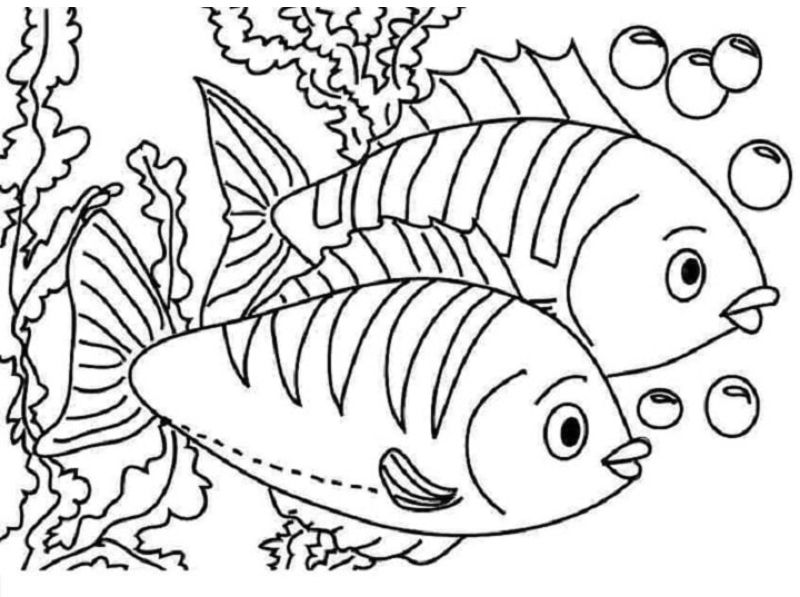 Fish coloring page.  (Photo: Internet Collection)