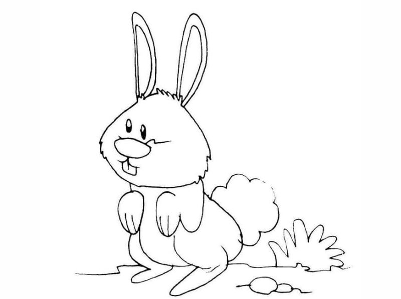 Rabbit coloring page.  (Photo: Internet Collection)