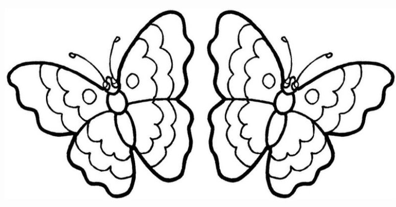 Butterfly coloring page.  (Photo: Internet Collection)