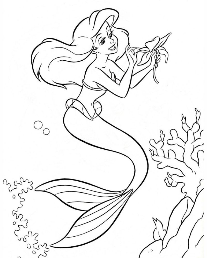 Painting mermaid.  (Photo: Internet Collection)