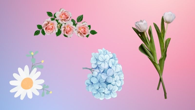 Biệt danh tiếng anh cho bé theo các loài hoa.  (Ảnh: Canva)