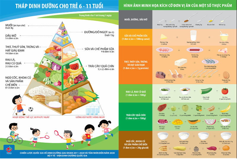 Tháp dinh dưỡng của học sinh tiểu học từ 6 - 11 tuổi. (Ảnh: Sưu tầm Internet)