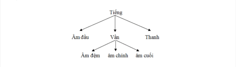 Structure of language in Vietnamese.  (Photo: englishvietonline.com)