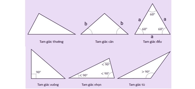 Các loại hình tam giác thường gặp. (Ảnh: Sưu tầm internet)