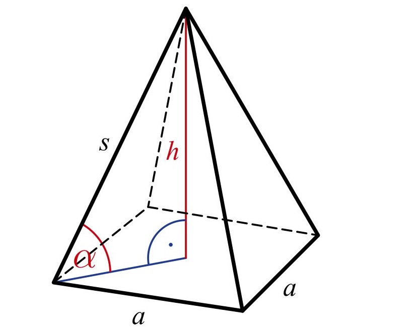 ピラミッド型の特徴。 （写真：インターネットコレクション）