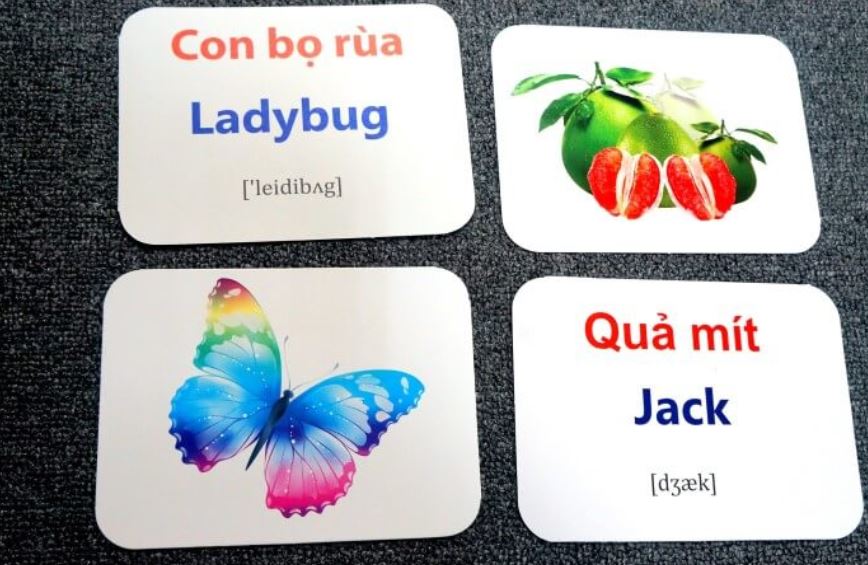 Học từ vựng tiếng Anh qua Flashcard giúp trẻ cảm thấy ngoại ngữ rất đơn giản, dễ hiểu. (Ảnh: Sưu tầm Internet)