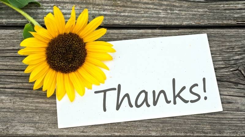 Lời nói "cảm ơn" quan trọng như thế nào? (Ảnh: Canva)