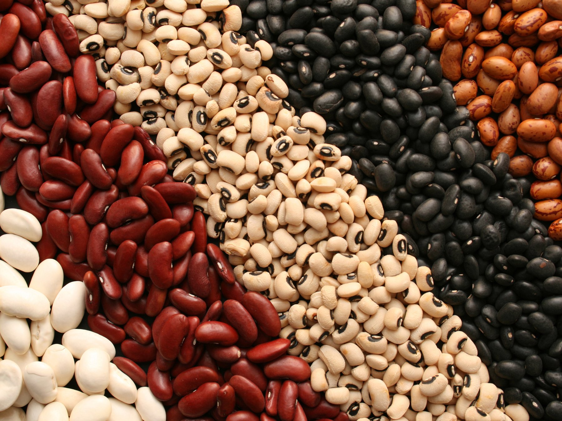    Một số loại hạt có hàm lượng protein cao.  (Ảnh: Sưu tầm Internet)