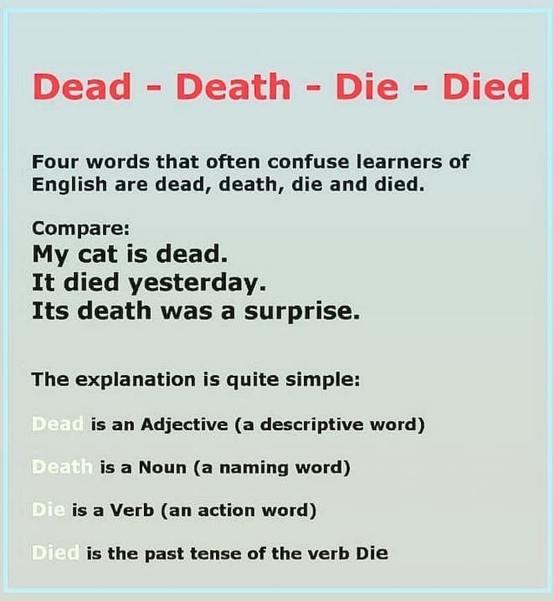 Phân biệt "Die" - "Died" - "Dead" - "Death" trong tiếng Anh