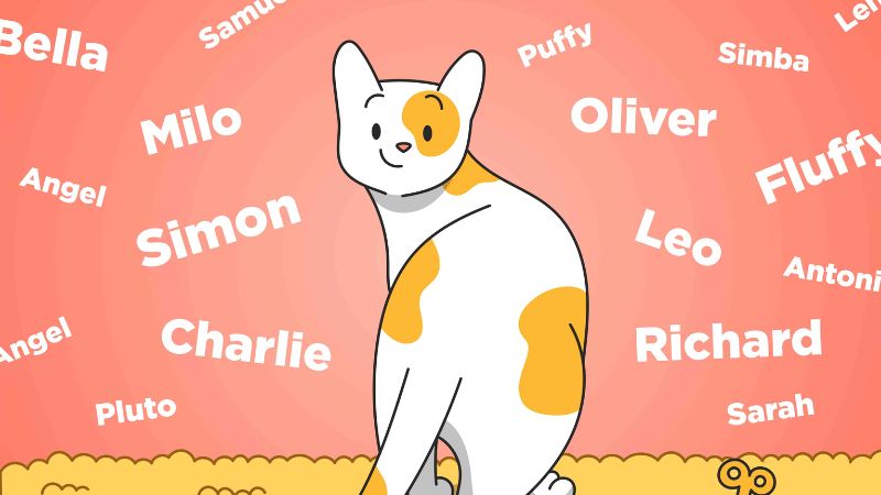 Đặt tên cho chú mèo của mình là một công việc thú vị, nhưng đôi khi cũng khó khăn. Hãy xem ảnh dưới đây để tìm ý tưởng và lựa chọn tên phù hợp nhất cho chú mèo của bạn, bằng các từ tiếng Anh thú vị và dễ nhớ.