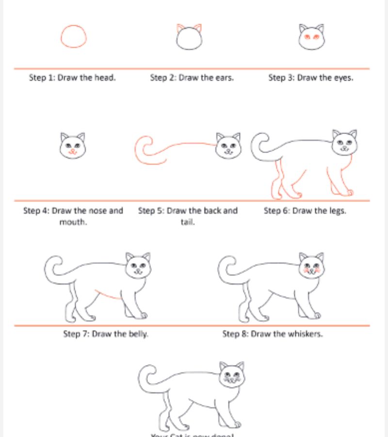 Các bước vẽ mèo phim hoạt hình. (Ảnh: Wedrawanimals.com)