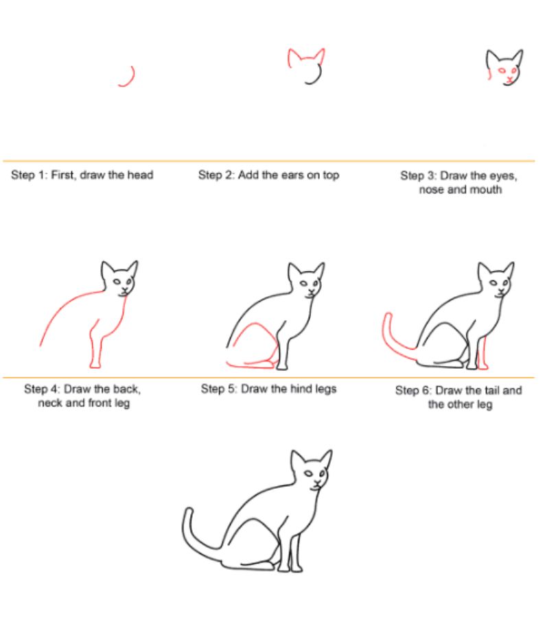 Vẽ mèo nhiều cụ thể. (Ảnh: Wedrawanimals.com)