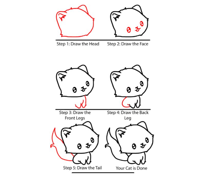 Các bước vẽ con cái mèo con cái. (Ảnh: Wedrawanimals.com)