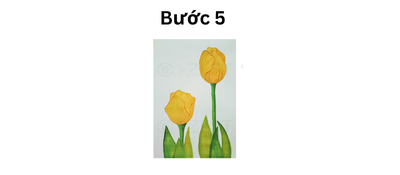 Tô màu hoa tulip.  (Ảnh: Zestart.vn)