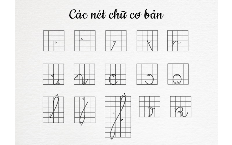 Các nét chữ cơ bản trong luyện viết tiếng Việt. (Ảnh: Sưu tầm internet)
