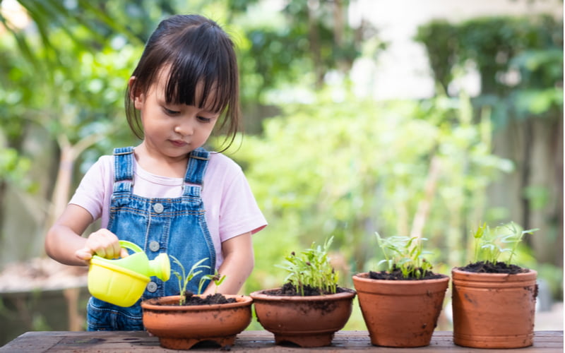 Chăm sóc cây xanh giúp trẻ biết yêu cây cối, có ý thức bảo vệ thiên nhiên. (Ảnh: Shutterstock.com)