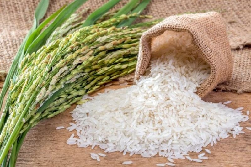 Các chuyên gia gợi ý 5+ loại gạo nguyên chất tốt nhất dành cho trẻ em