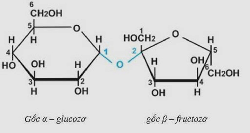 Cấu tạo ra phân tử glucozo và Fructozo. (Ảnh: Sưu tầm Internet)