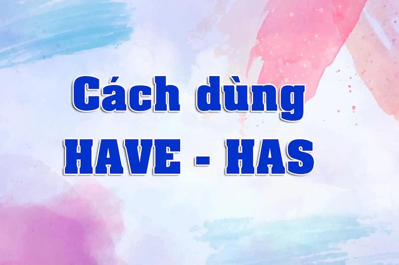 Cách dùng have has ở hiện tại đơn. (Ảnh: Internet)