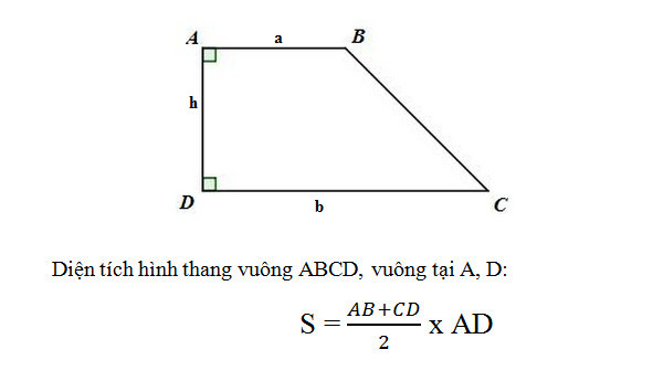 Cách tính chu vi hình thang vuông ví dụ bài tập áp dụng