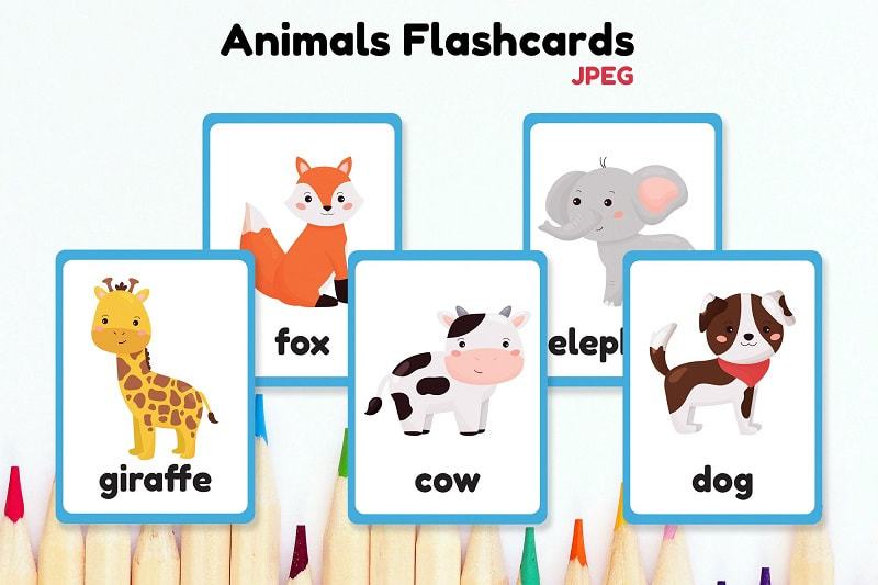 Học từ vựng theo chủ đề động vật thông qua flashcards.  (Ảnh: Designbundles.net)