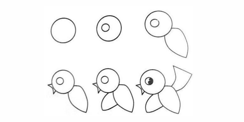 Các bước để vẽ một con chim.  (Ảnh: Sưu tầm Internet)