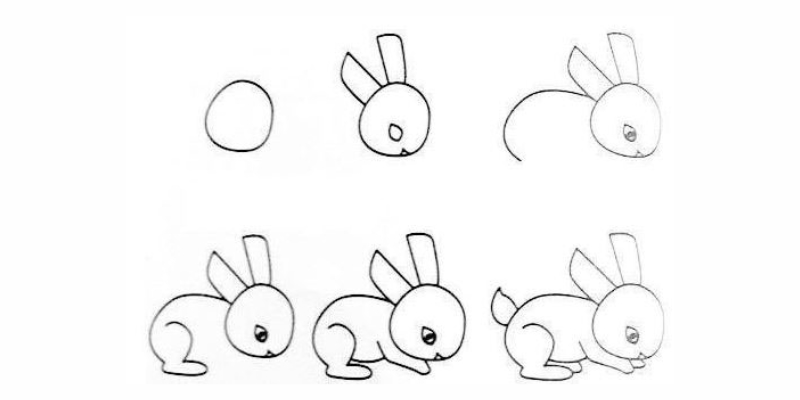 Các bước để vẽ một con thỏ.  (Ảnh: Sưu tầm Internet)