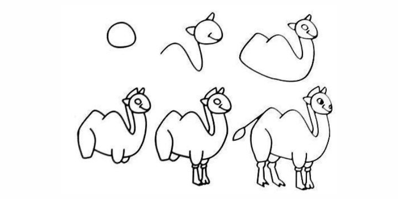 Các bước vẽ lạc đà.  (Ảnh: Sưu tầm Internet)