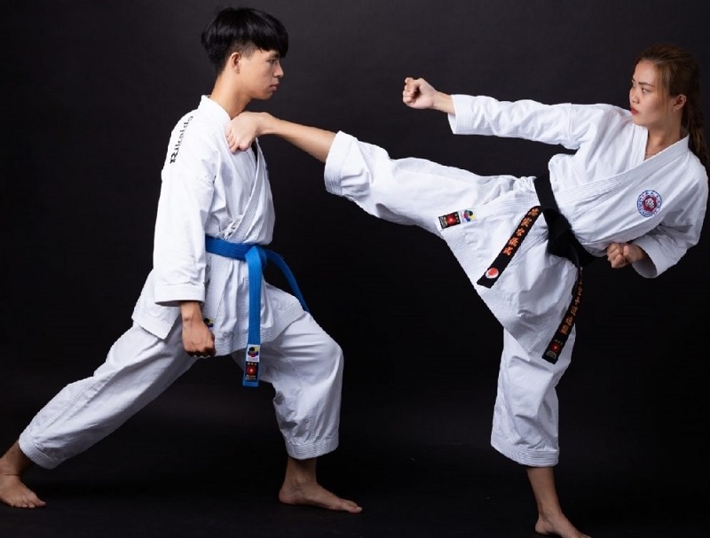 Karate là môn võ tôn vinh tính đối kháng. (Ảnh: Sưu tầm internet)
