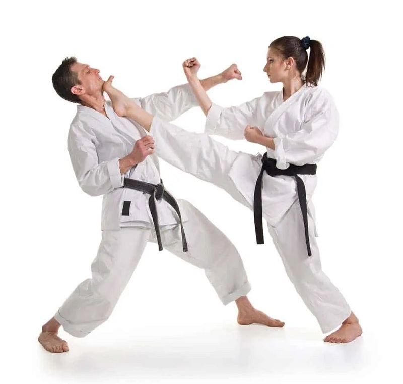Taekwondo là bộ môn thiên về kỹ thuật đá chân rất nhiều.