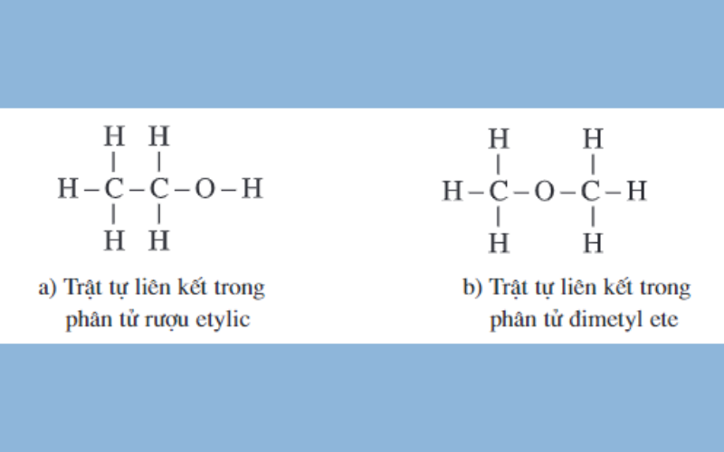 CTCT metan và rượu etylic. (Ảnh: Chụp màn hình)