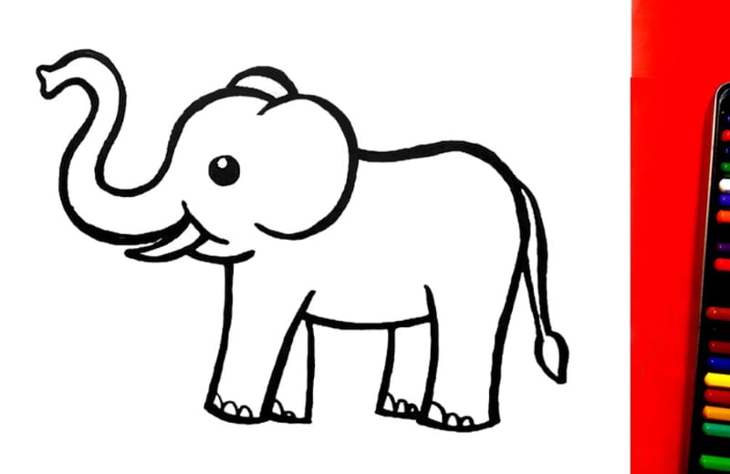 Hướng dẫn vẽ con cái voi. (Ảnh: Sưu tầm Internet)